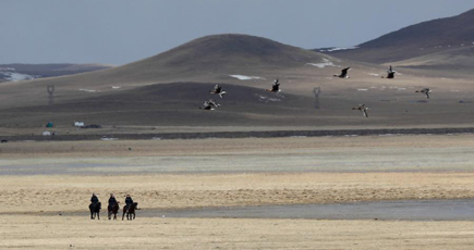 渡り鳥見守る馬背警隊　内モンゴル自治区
