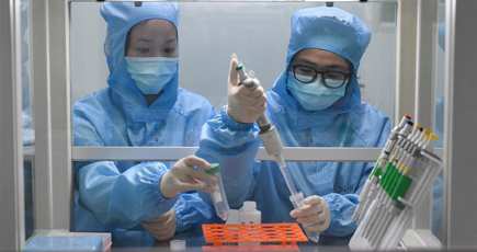 感染対策を支援する核酸検出キットを製造　江蘇省泰州市