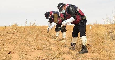 春のネズミ駆除活動で草原を守る　内モンゴル自治区