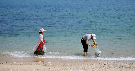 海南省に「ごみ銀行」登場　海岸線の環境保護を後押し