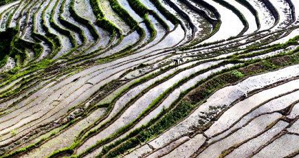 陝西省の棚田で田植えが本格化