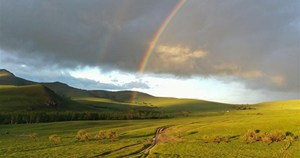 夏を迎えたアルホルチン草原　内モンゴル自治区