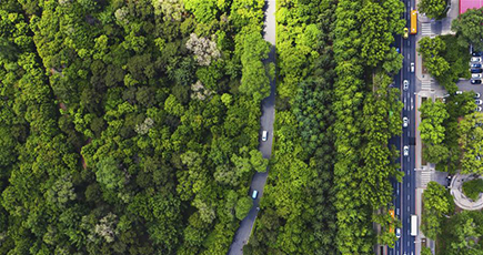緑豊かで美しい森林都市を目指す　吉林省長春市