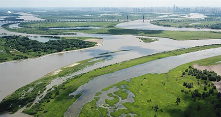 緑豊かな太陽島国家湿地公園　黒竜江省
