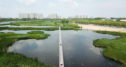 湿地と都市の調和と共生　黒竜江省