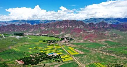 緑鮮やかな農村地帯　チベット自治区ルンドゥプ県
