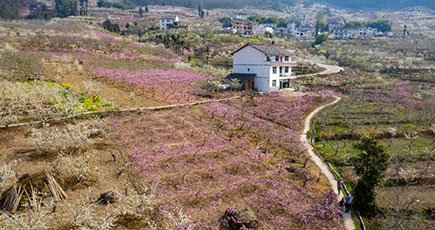 空から眺める四川省の農村風景