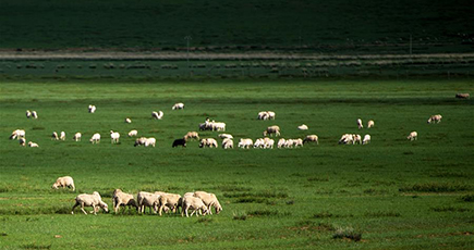 雨後の草原に広がる絶景　内モンゴル自治区シリンゴル盟