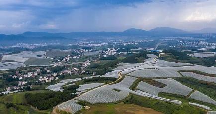 リンゴ産業が農家の貧困脱却を後押し　雲南省昭通市