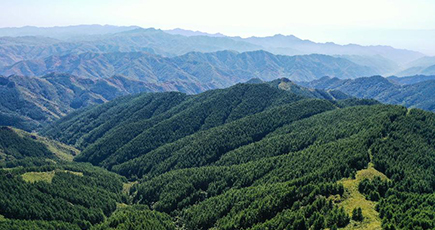 爽やかな風景を満喫　緑豊かな蘇木山森林公園をゆく