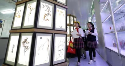 小学生が伝統の中医薬文化に触れる　河北省石家荘