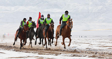 馬文化の伝承を促進、「莫尼山競馬節」開催　内モンゴル自治区