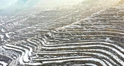雪化粧した段々畑　河北省渉県
