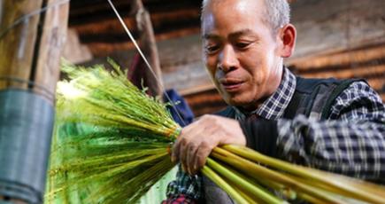 ほうき輸出で農家の収入増を後押し　河北省楽亭県