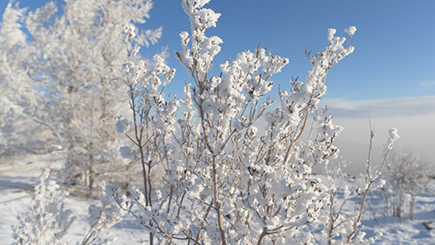 輝く樹氷の絶景　内モンゴル自治区アルシャン市