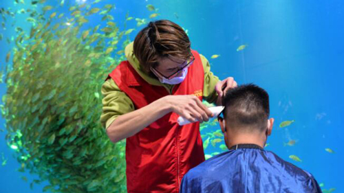 水族館で伝統の「竜抬頭」、順調な一年願い散髪　安徽省