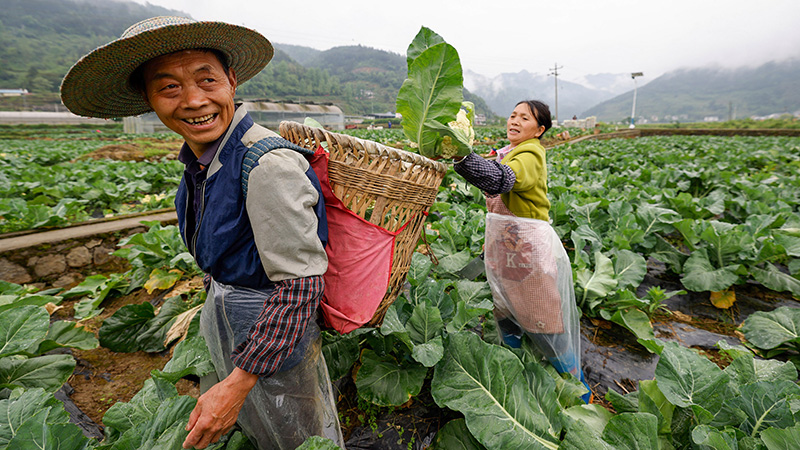 「立夏」到来　中国各地で農作業に励む人たち