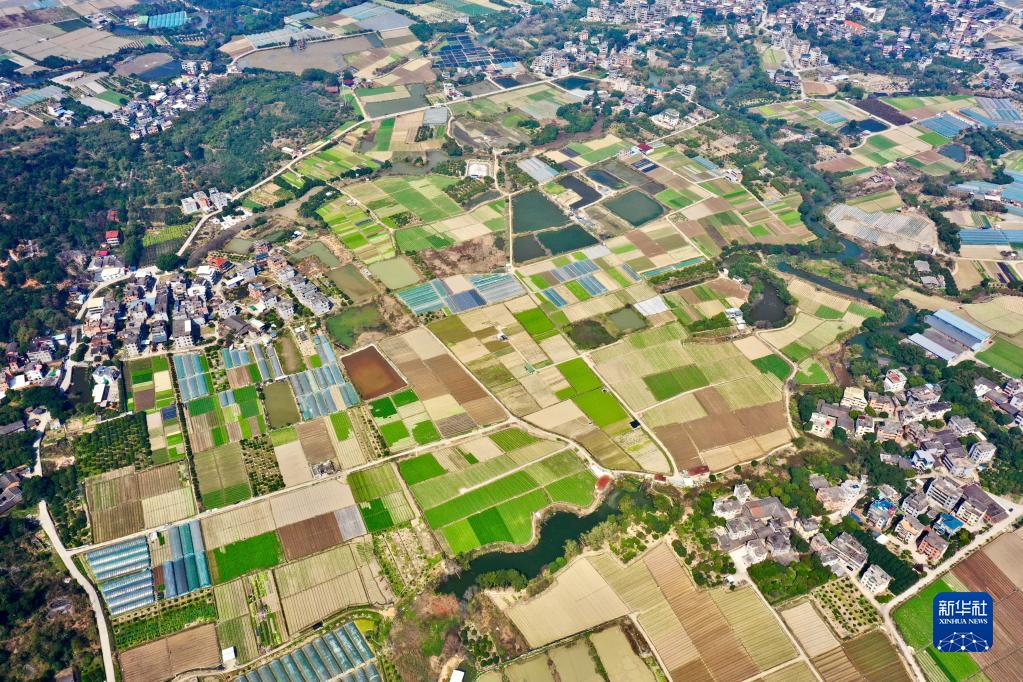 大地に広がる春のパズル 中国福建省福州市