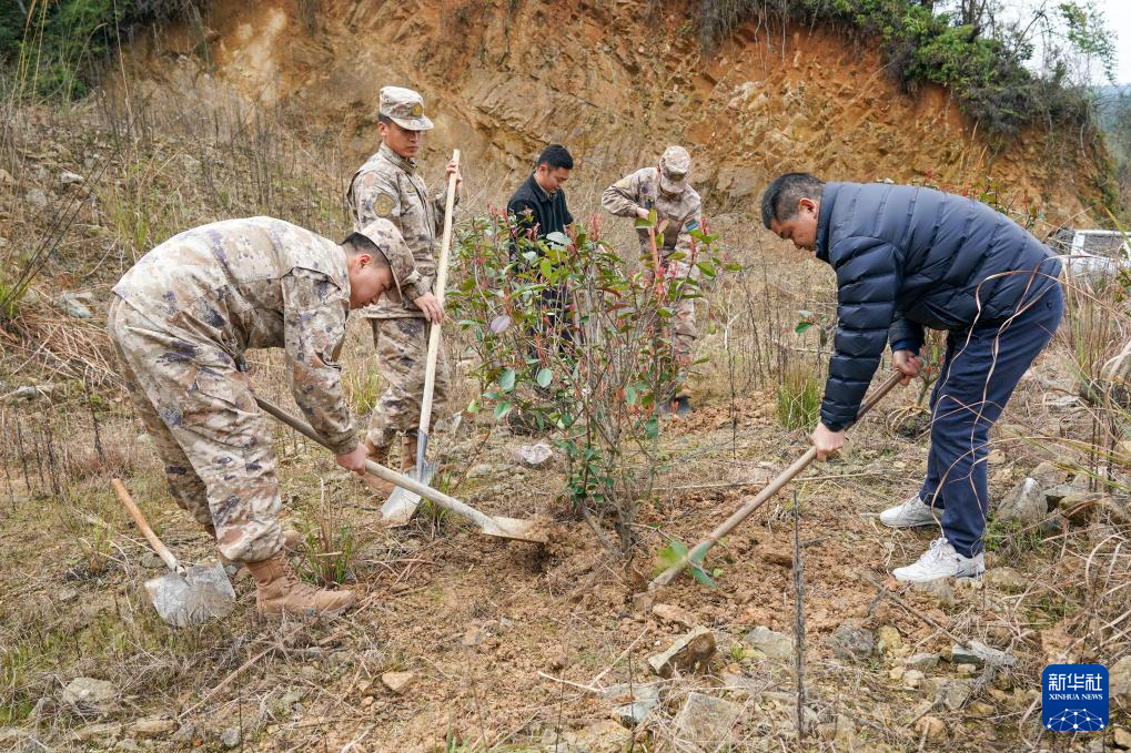 植樹節に軍民共同で植樹活動 福建省武夷山市