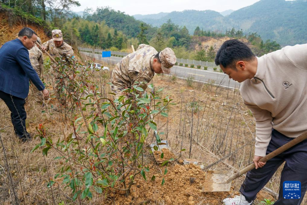 植樹節に軍民共同で植樹活動 福建省武夷山市